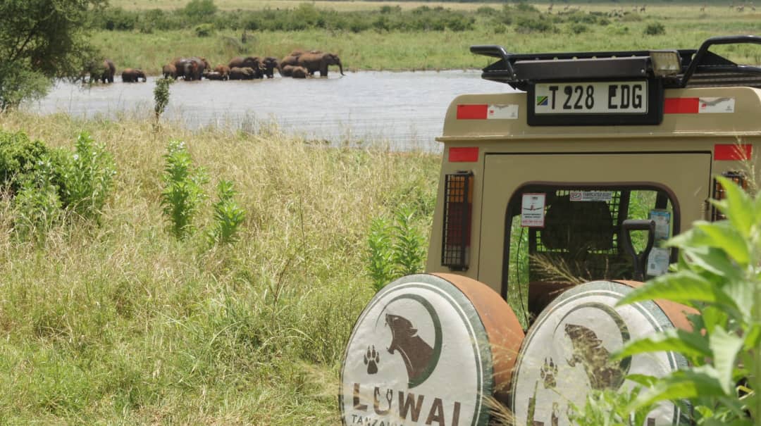 Luwai Tanzania