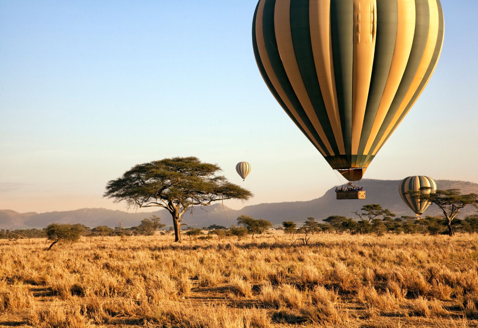 Luwai Tanzania Safaris (1600 x 1100 px) (17)