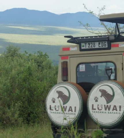 Luwai Safaris